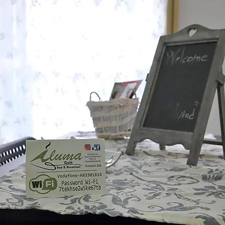 Iluma Nocleg ze śniadaniem 3*