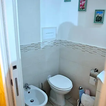 Iluma Ercolano